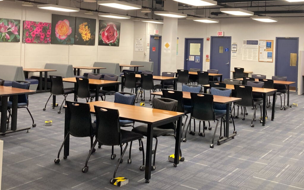 DML Lower Level